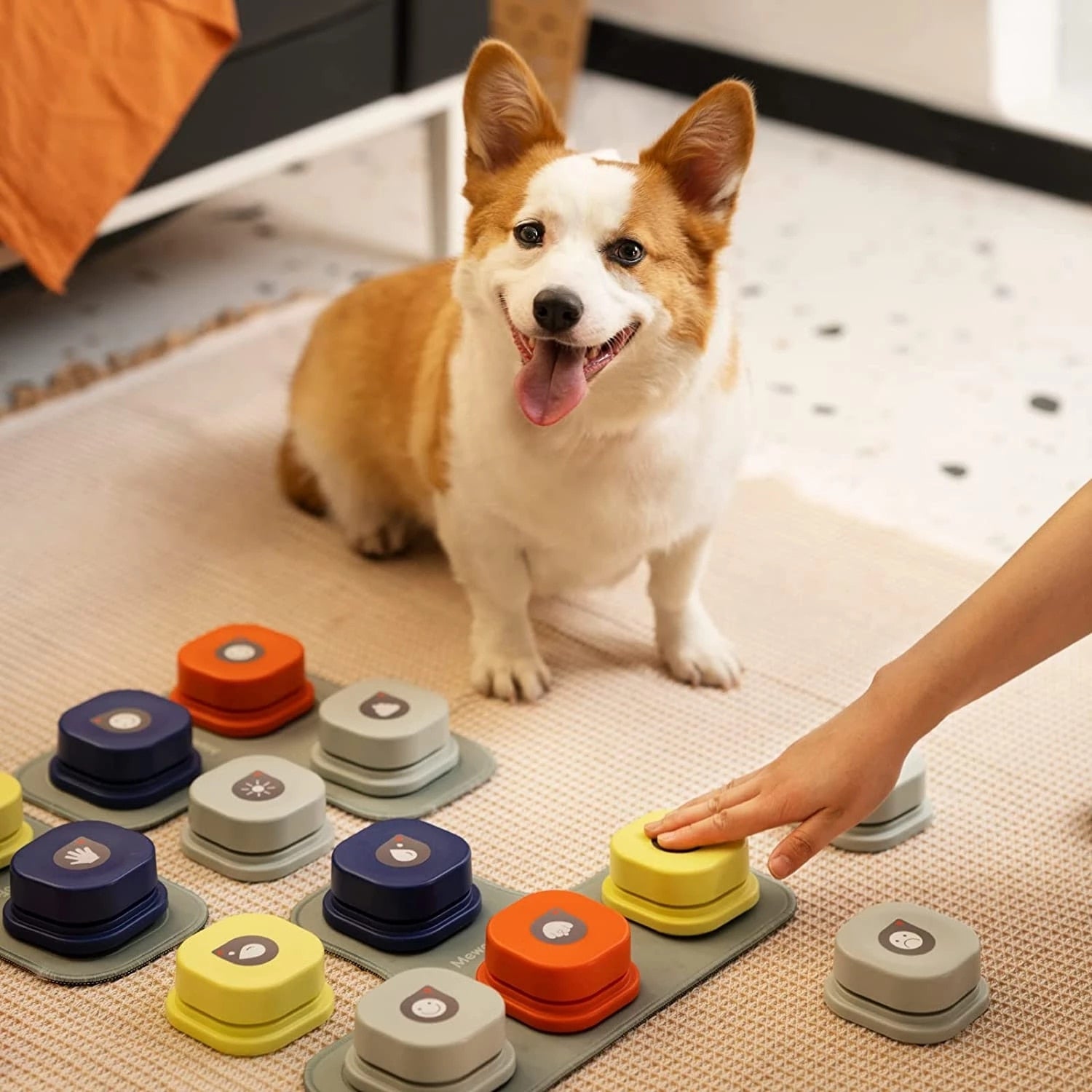 Pet Interactive Training Buttons